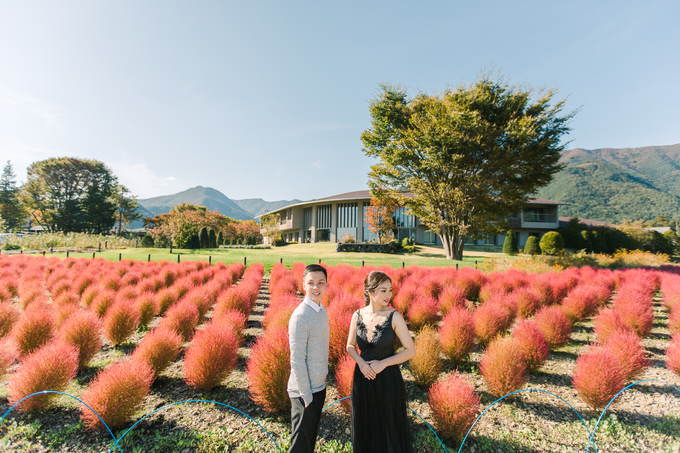 D&F | Japan Pre-Wedding by IORI PHOTOWORKS - 006 D&F | Japan Pre-Wedding by IORI PHOTOWORKS - 006