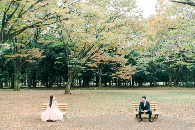 D&F | Japan Pre-Wedding by IORI PHOTOWORKS - 011 D&F | Japan Pre-Wedding by IORI PHOTOWORKS - 011