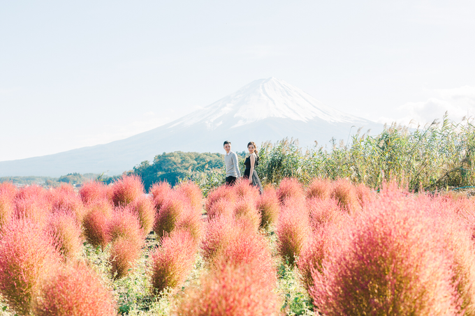 D&F | Japan Pre-Wedding by IORI PHOTOWORKS - 012 D&F | Japan Pre-Wedding by IORI PHOTOWORKS - 012