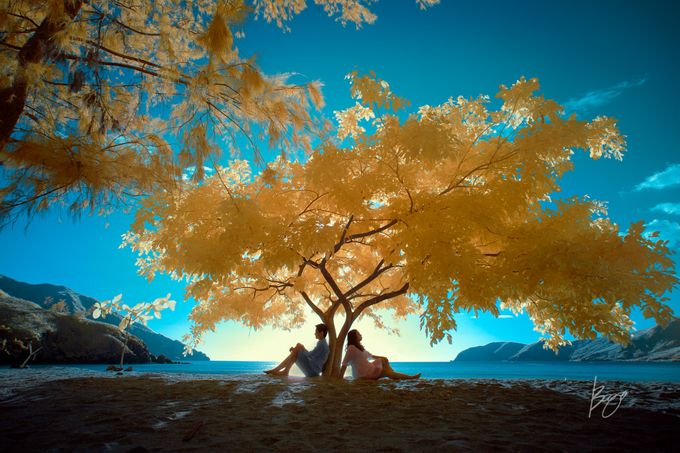 Infrared Photography by Bogs Ignacio Signature Gallery - 004