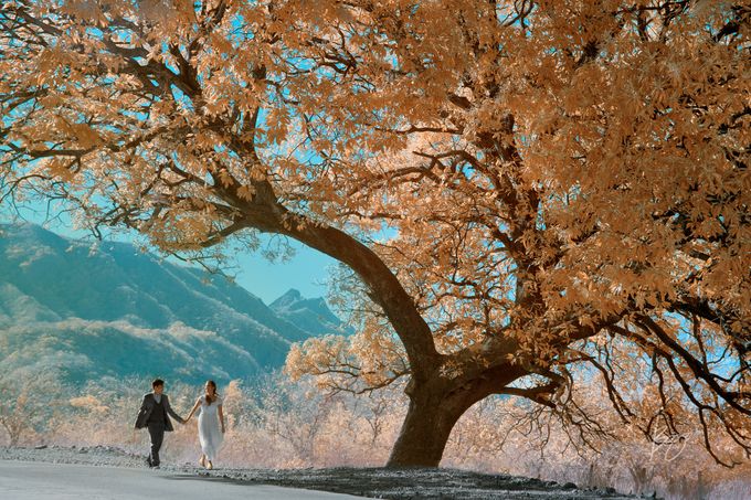 Infrared Photography by Bogs Ignacio Signature Gallery - 015 Infrared Photography by Bogs Ignacio Signature Gallery - 015
