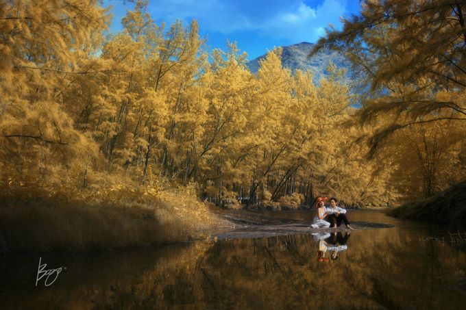 Infrared Photography by Bogs Ignacio Signature Gallery - 024 Infrared Photography by Bogs Ignacio Signature Gallery - 024