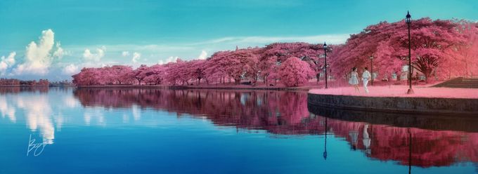Infrared Photography by Bogs Ignacio Signature Gallery - 033 Infrared Photography by Bogs Ignacio Signature Gallery - 033