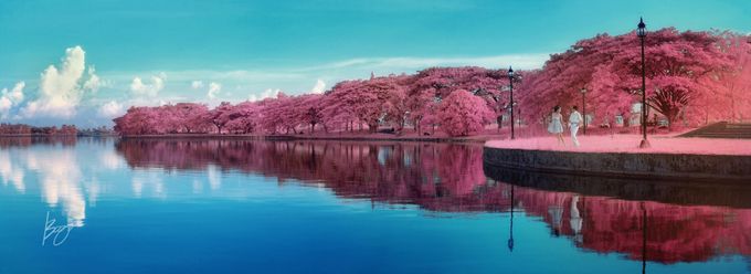 Infrared Photography by Bogs Ignacio Signature Gallery - 033