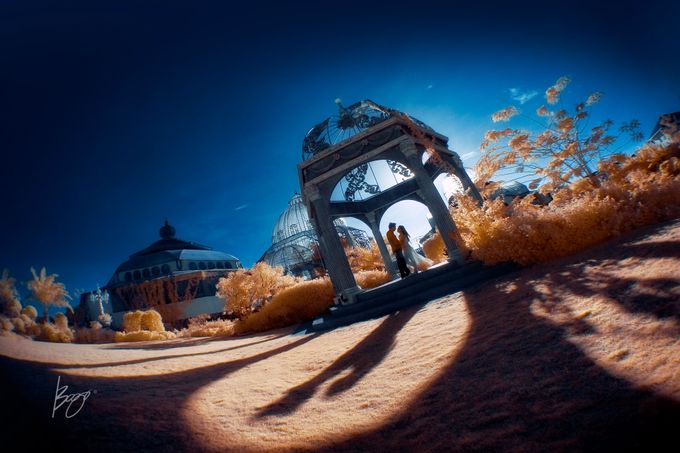 Infrared Photography by Bogs Ignacio Signature Gallery - 048 Infrared Photography by Bogs Ignacio Signature Gallery - 048