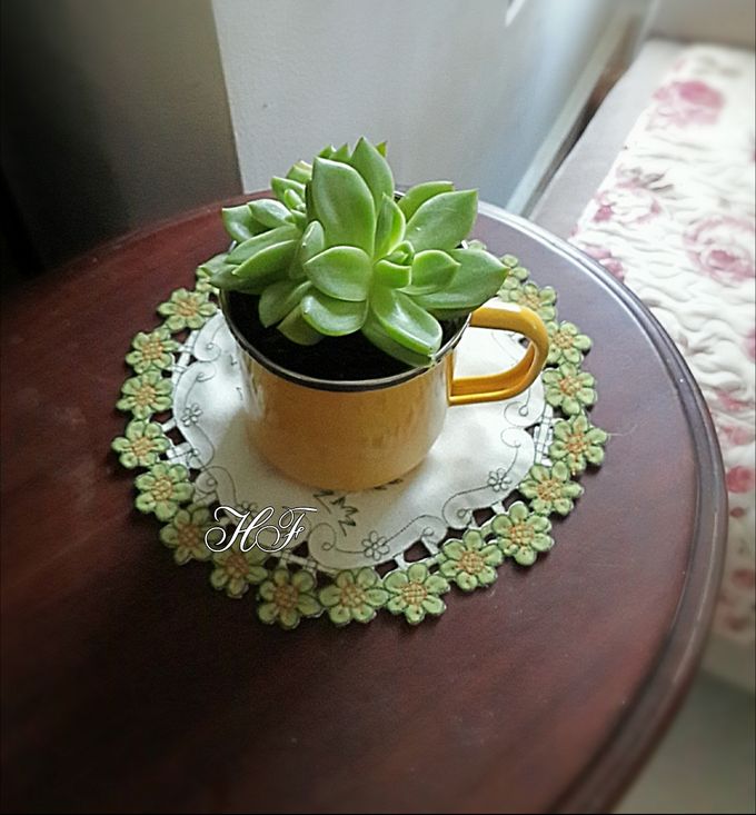 Shabby Look by House of Succulent - 016