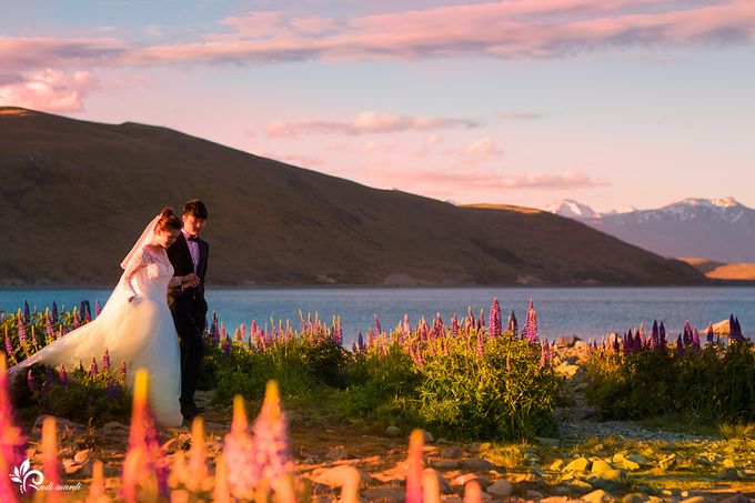 New Zealand Jake Prewedding by Therudisuardi - 001 New Zealand Jake Prewedding by Therudisuardi - 001