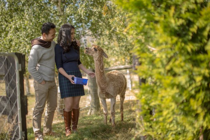 The Engagement Session of Ferdy & Levina by Lavene Pictures - 015