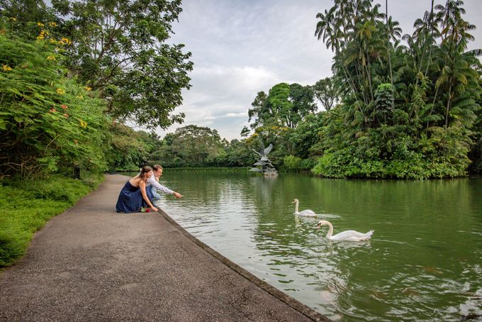Proposal at Botanic Gardens by GrizzyPix Photography - 045 Proposal at Botanic Gardens by GrizzyPix Photography - 045