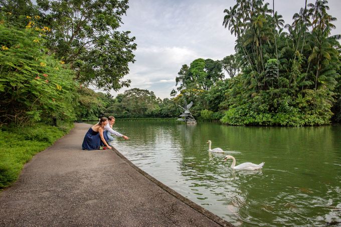 Proposal at Botanic Gardens by GrizzyPix Photography - 045