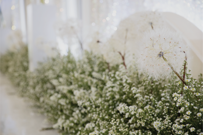 Joseph & Fitri Wedding Decoration by Valentine Wedding Decoration - 013 Joseph & Fitri Wedding Decoration by Valentine Wedding Decoration - 013