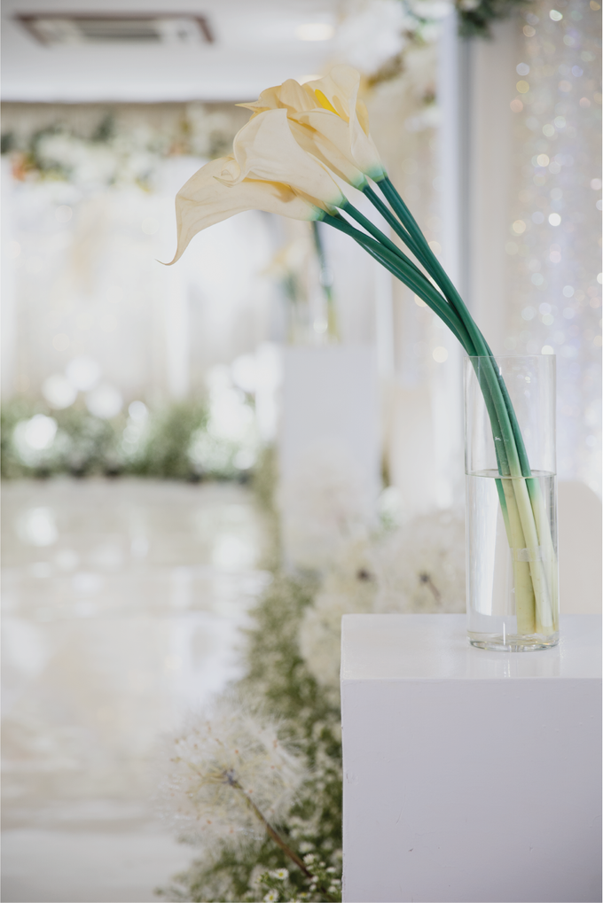 Joseph & Fitri Wedding Decoration by Valentine Wedding Decoration - 011 Joseph & Fitri Wedding Decoration by Valentine Wedding Decoration - 011