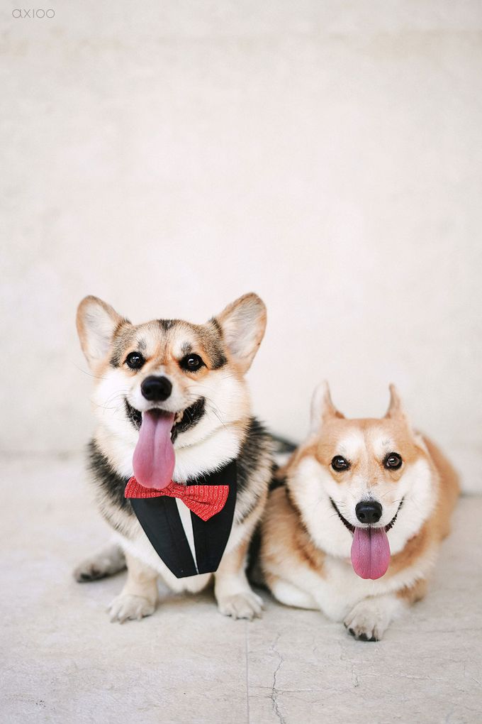 In this journey together - The Wedding of Johannes and Marcy by Donny Wu by Axioo - 023 In this journey together - The Wedding of Johannes and Marcy by Donny Wu by Axioo - 023