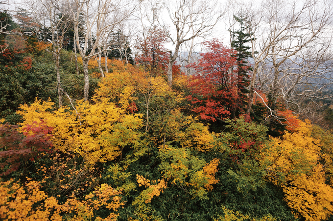 Ploy & Tune in Otaru,Japan by Kanvela - 003