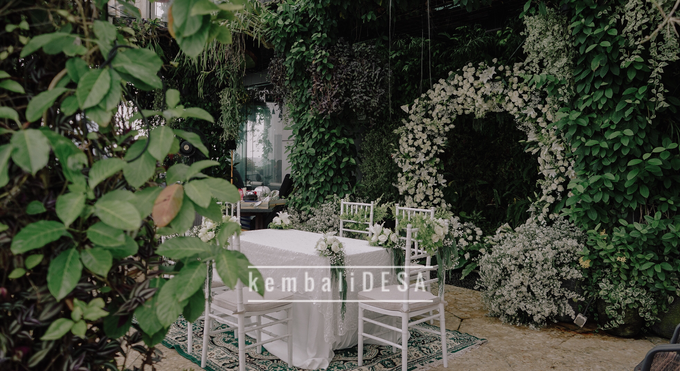 Botanical Decoration by kembaliDESA - 003 Botanical Decoration by kembaliDESA - 003