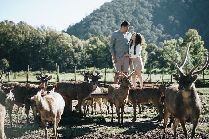 Prewed Handy & Vika by KianPhotomorphosis - 018 Prewed Handy & Vika by KianPhotomorphosis - 018