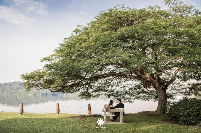 Martin Jnet Pre-Wedding | Strolling in a Park by Ducosky - 001