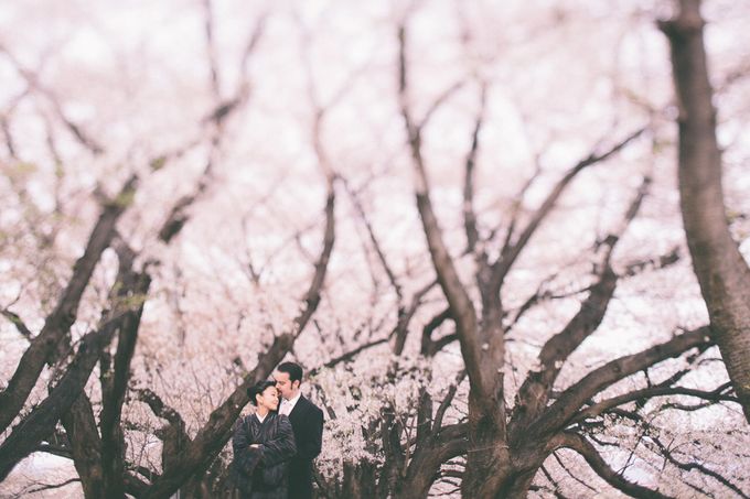 Masako & Joe - Cherry Blossoms in Kyoto by SuperPanda Presents - 003 Masako & Joe - Cherry Blossoms in Kyoto by SuperPanda Presents - 003