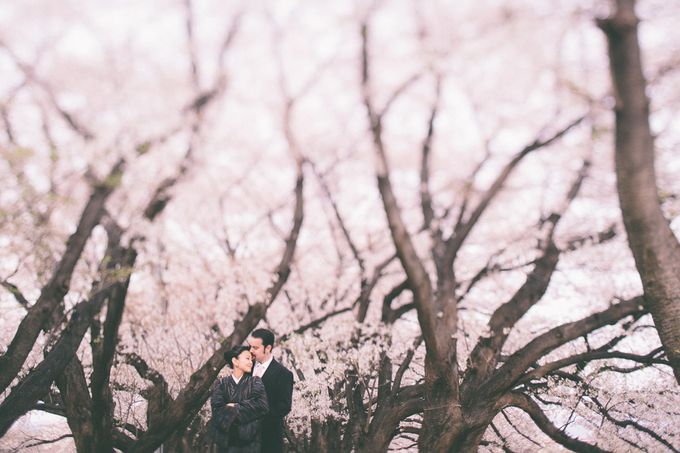 Masako & Joe  - Cherry Blossoms  in Kyoto by SuperPanda Presents - 003