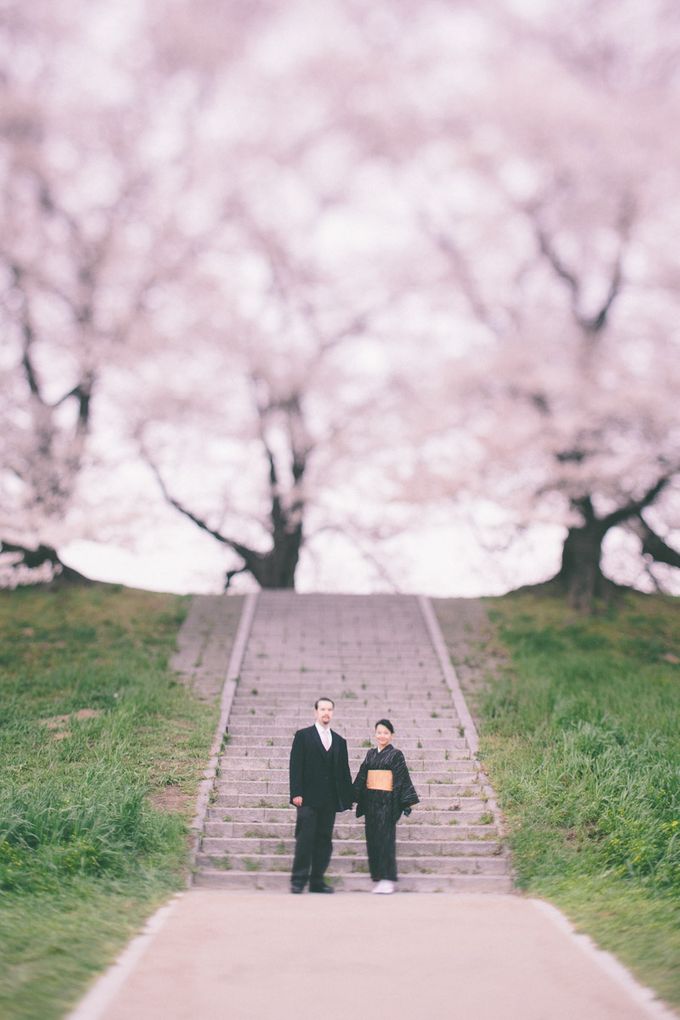 Masako & Joe - Cherry Blossoms in Kyoto by SuperPanda Presents - 023 Masako & Joe - Cherry Blossoms in Kyoto by SuperPanda Presents - 023