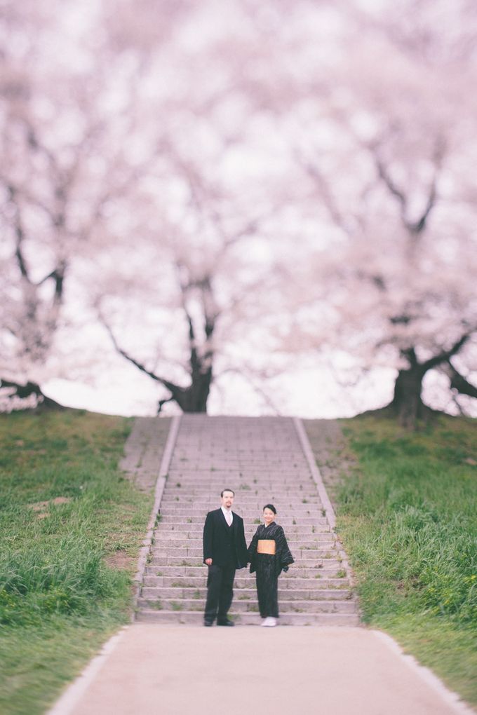 Masako & Joe  - Cherry Blossoms  in Kyoto by SuperPanda Presents - 023