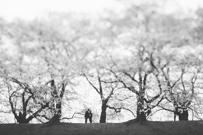 Masako & Joe  - Cherry Blossoms  in Kyoto by SuperPanda Presents - 025