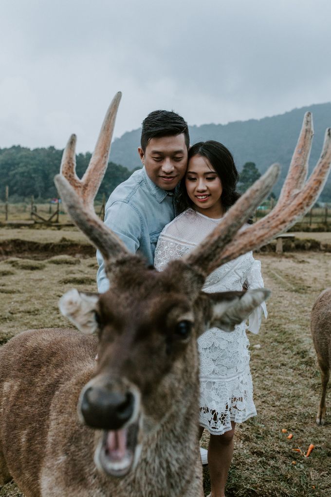Prewedding Nico & Hanna by Monchichi - 020 Prewedding Nico & Hanna by Monchichi - 020