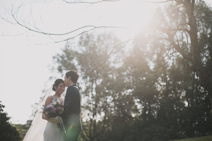 Rustic Purple Pre-wedding Shoot by Gin Tan makeup artist - 003 Rustic Purple Pre-wedding Shoot by Gin Tan makeup artist - 003