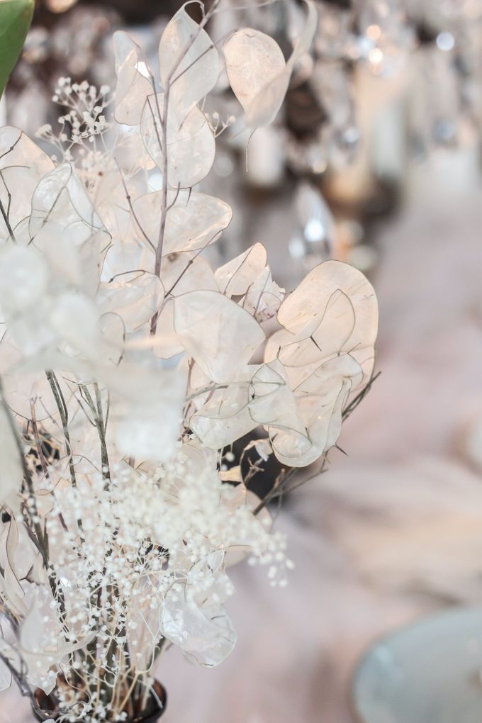 Cant wait to meet Maddy by MyVoilà - 002 Cant wait to meet Maddy by MyVoilà - 002