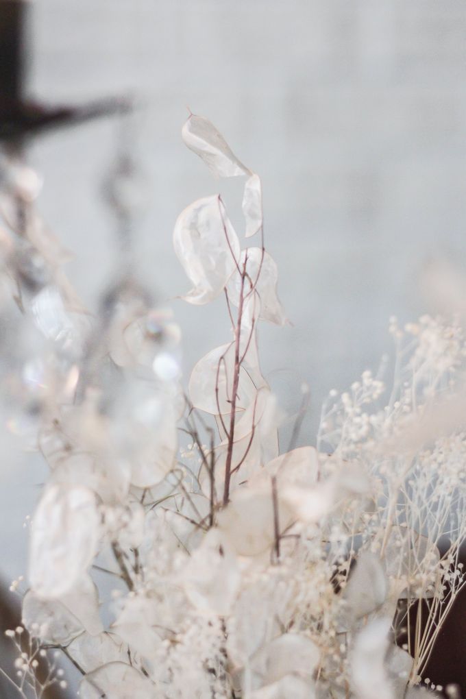 Cant wait to meet Maddy by MyVoilà - 016 Cant wait to meet Maddy by MyVoilà - 016