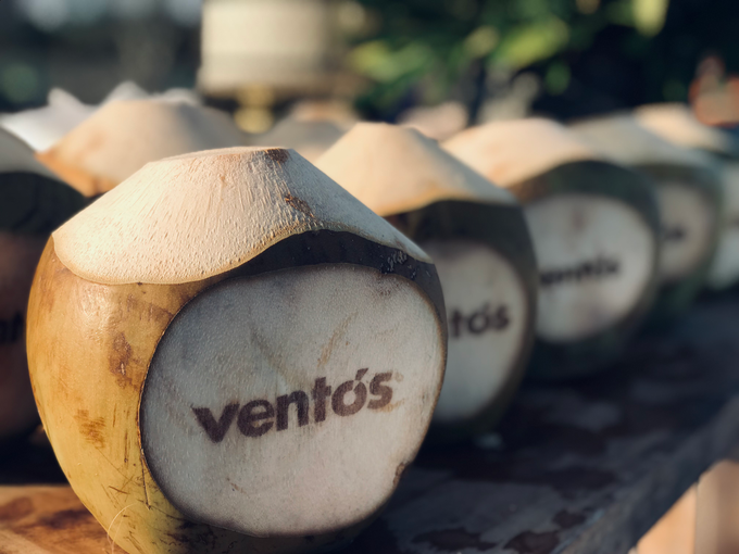 Company Gathering VENTOZ - 02.10.2019 by Oma Thia's Kitchen Catering - 001 Company Gathering VENTOZ - 02.10.2019 by Oma Thia's Kitchen Catering - 001