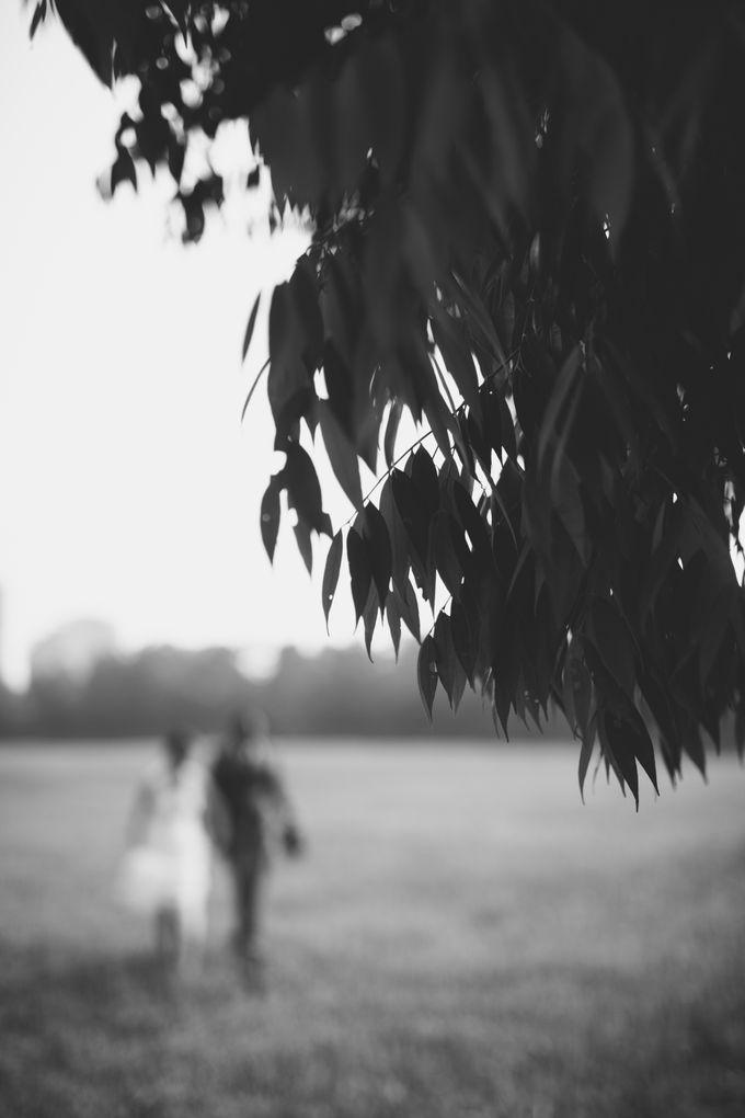 Pre wedding by Omelett3 Studio - 005 Pre wedding by Omelett3 Studio - 005