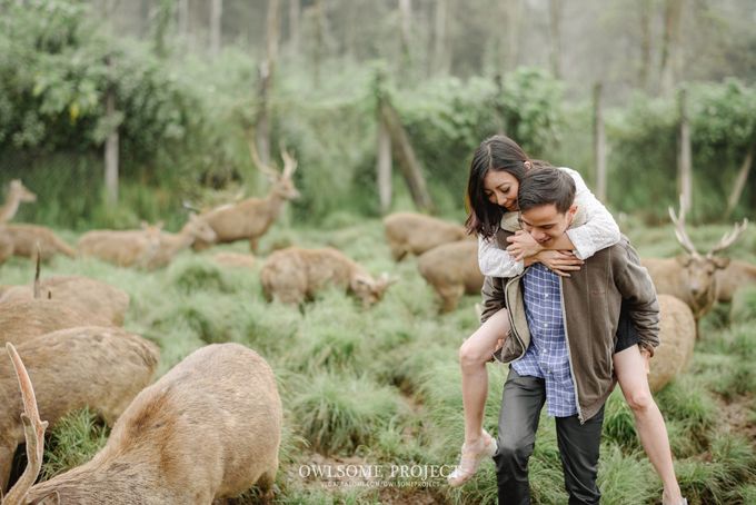 Citra & Havil Wedding by bright Event & Wedding Planner - 005 Citra & Havil Wedding by bright Event & Wedding Planner - 005