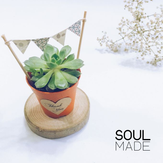 Mini Plant Pot by Soulmade Design - 003