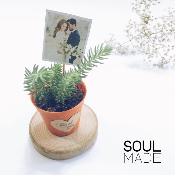 Mini Plant Pot by Soulmade Design - 004