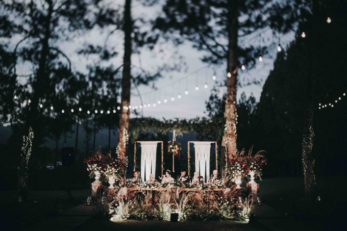 An Elegant Maroon wedding with boho touch in a pine forest for  Rara and Anthoni by Elior Design - 004