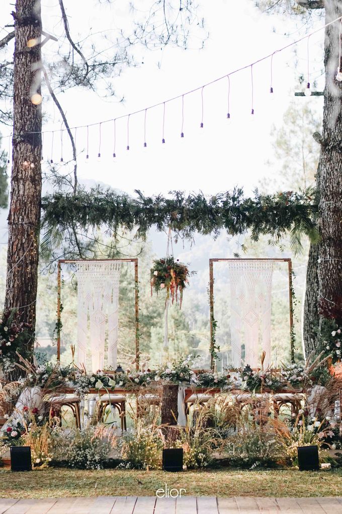 An Elegant Maroon wedding with boho touch in a pine forest for  Rara and Anthoni by Elior Design - 020