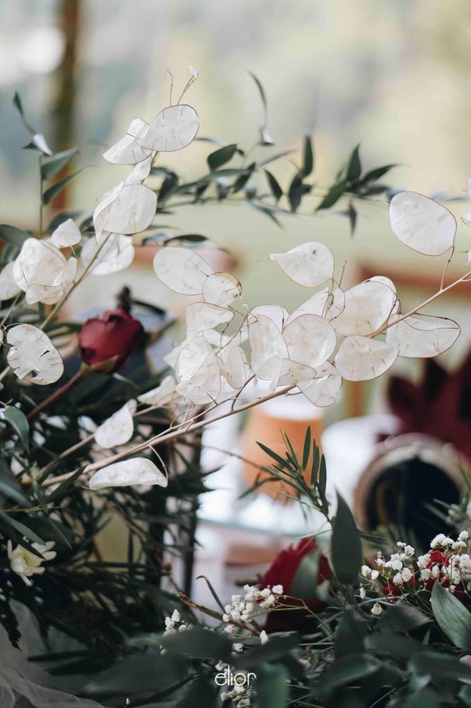 An Elegant Maroon wedding with boho touch in a pine forest for  Rara and Anthoni by Elior Design - 011