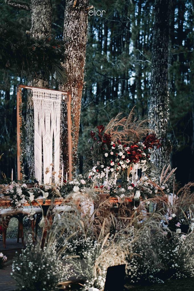 An Elegant Maroon wedding with boho touch in a pine forest for  Rara and Anthoni by Elior Design - 006