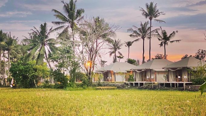 Bali Beach Glamping by Bali Beach Glamping - 024 Bali Beach Glamping by Bali Beach Glamping - 024