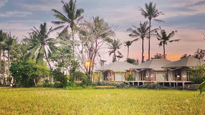 Bali Beach Glamping by Bali Beach Glamping - 024