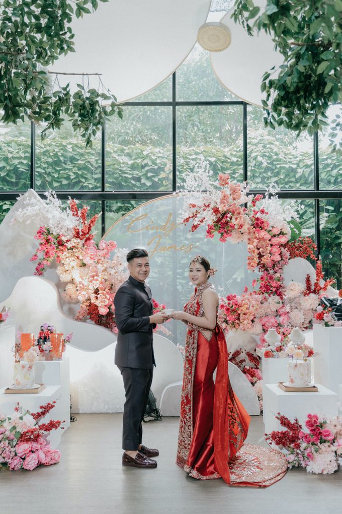 THE ENGAGEMENT OF JAMES AND CINDY by Overdream The Organizer - 007