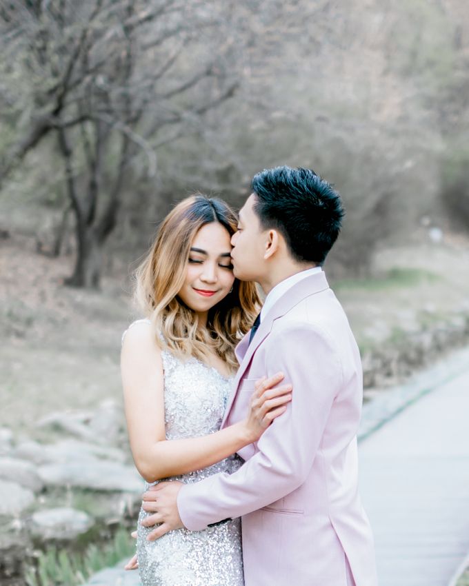 Prewedding C & E Cherryblossom  Korea Selatan by Luminance.pict - 002