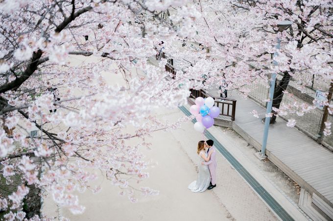 Prewedding C & E Cherryblossom  Korea Selatan by Luminance.pict - 004