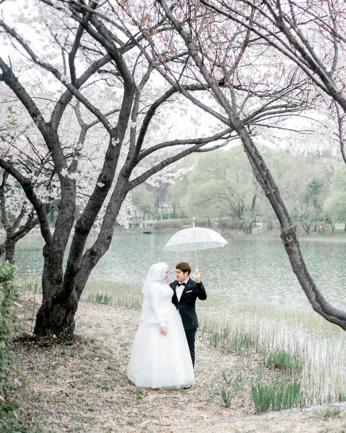 Prewedding Cherryblossom Korea Selatan by Value.photography - 009 Prewedding Cherryblossom Korea Selatan by Value.photography - 009