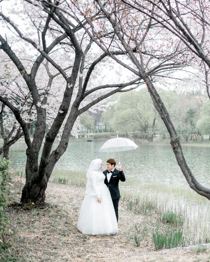 Prewedding Cherryblossom  Korea Selatan by Value.photography - 009