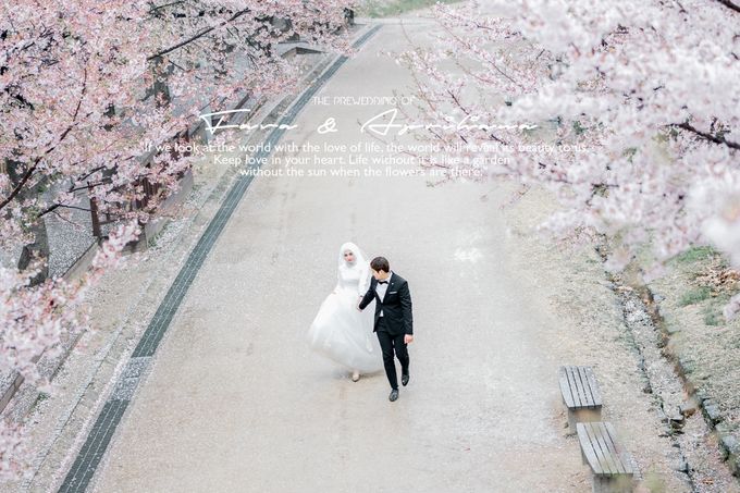 Prewedding Cherryblossom Korea Selatan by Value.photography - 008 Prewedding Cherryblossom Korea Selatan by Value.photography - 008