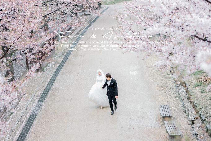 Prewedding Cherryblossom  Korea Selatan by Value.photography - 008