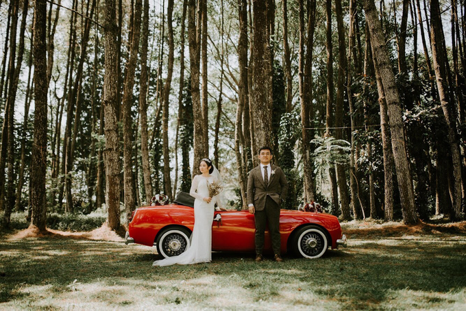 Havillah and Josefa in Pine Hill by Pine Hill Cibodas - 011 Havillah and Josefa in Pine Hill by Pine Hill Cibodas - 011