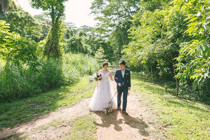 Wedding Day - Samuel and Hazel by TangYong Hair & Makeup - 022 Wedding Day - Samuel and Hazel by TangYong Hair & Makeup - 022